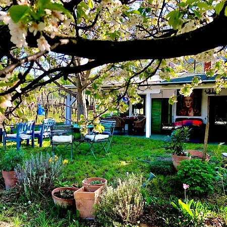 בית נופש Arty House With Huge Terrace At Lake Balaton