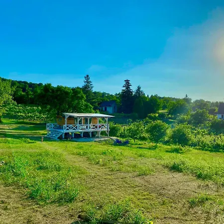 Arty House With Huge Terrace At Lake Balaton Kisapati