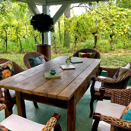 Arty House With Huge Terrace At Lake Balaton *