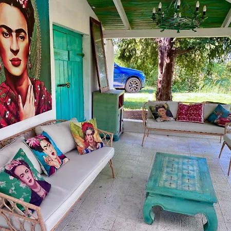 Arty House With Huge Terrace At Lake Balaton Semesterbostad Kisapati